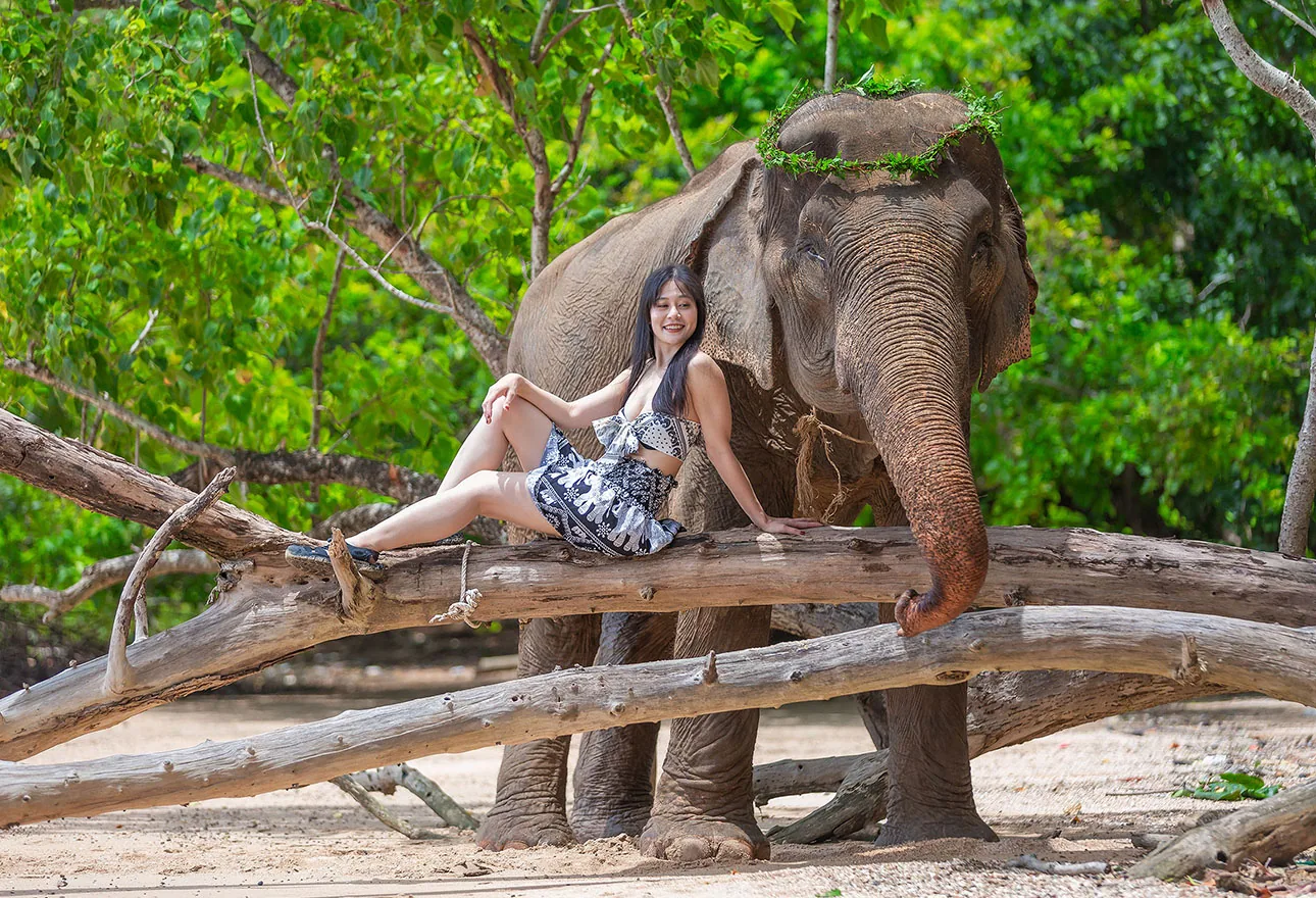 Phuket Siray Elephant Care Camp gallery