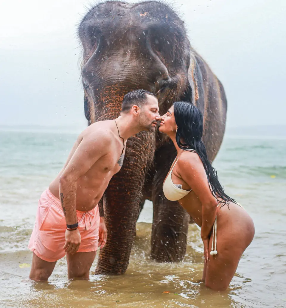 Did you know elephants love the rain?