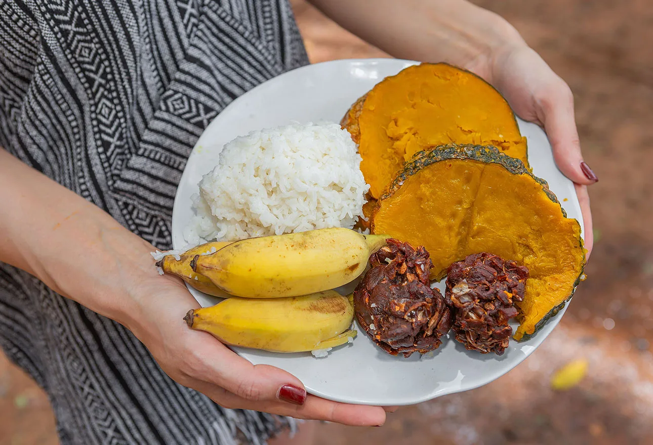 What Do Elephants Eat Every Day? The Giant Diet Behind Phuket’s Rescued Elephants