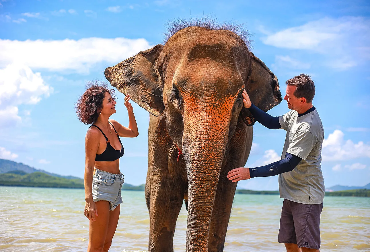 Five-star hospitality with elephant care at its heart.