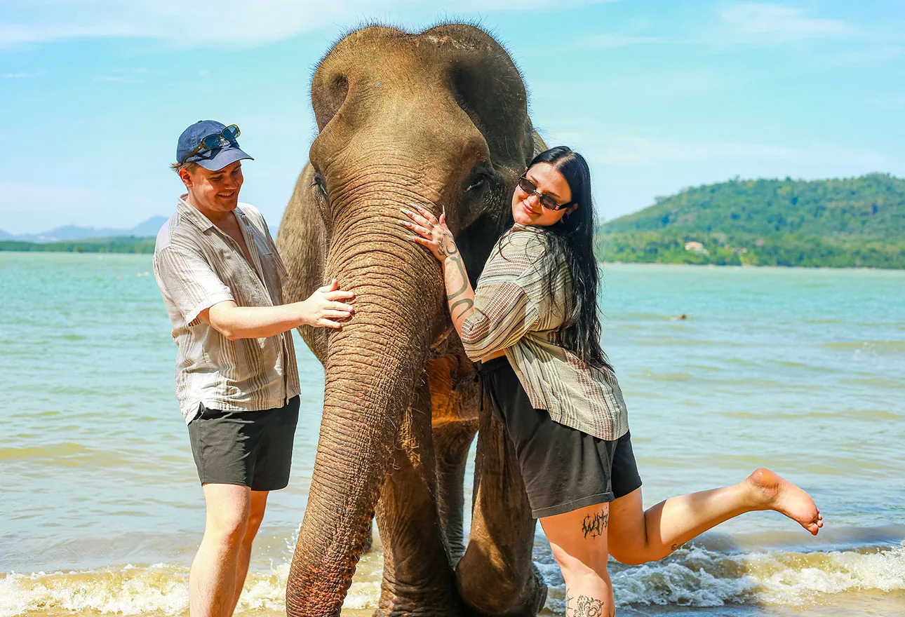 Five-star hospitality with elephant care at its heart.